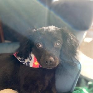 Meet your Posher, Christina